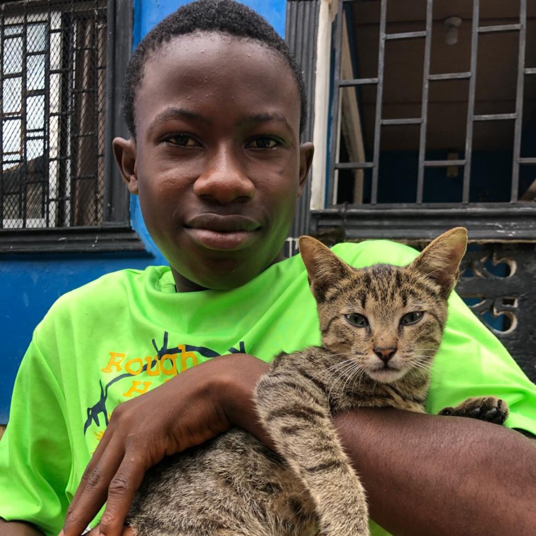 GlobalStrays's tweet image. Happy National Cat Day! In parts of Liberia, cats are linked to superstition and witchcraft, which can lead to fear and mistreatment. But our amazing partner Liberia Animal Welfare Society is breaking down these myths. Donate today to end animal suffering in underserved regions!