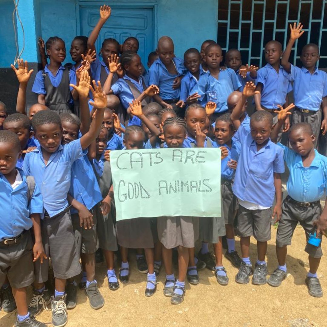 GlobalStrays's tweet image. Happy National Cat Day! In parts of Liberia, cats are linked to superstition and witchcraft, which can lead to fear and mistreatment. But our amazing partner Liberia Animal Welfare Society is breaking down these myths. Donate today to end animal suffering in underserved regions!