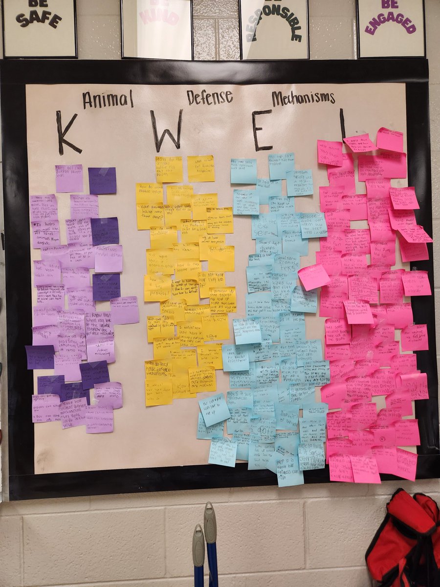 MrsSweeney-SESCoaching tweet media