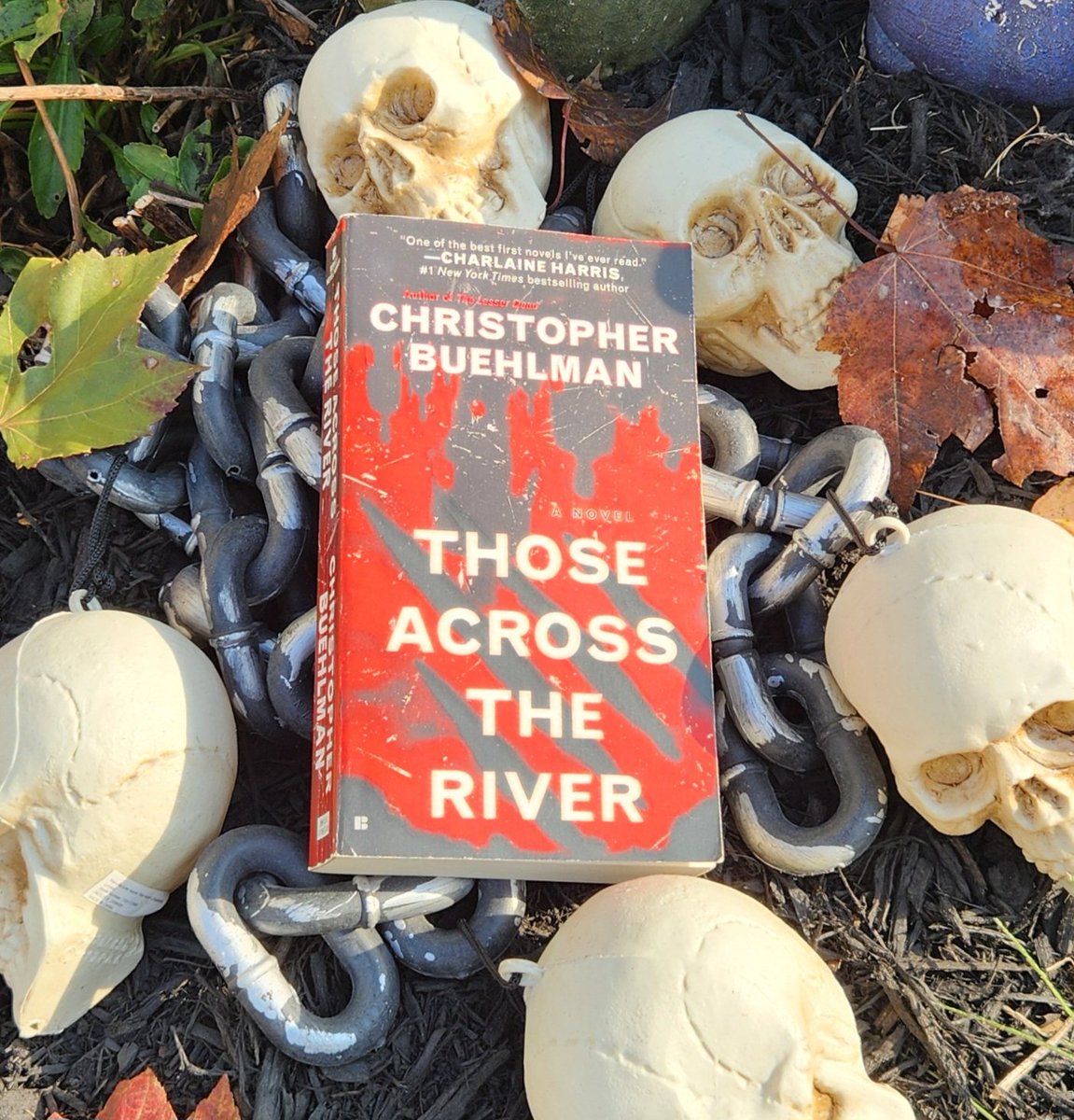 RobHBedford's tweet photo. 31 Horror Books for Halloween THOSE ACROSS THE RIVER by @Buehlmeister
#horrorbooks #horrorween2024
#horror #horrorween  #halloween2024 #horrornovel #halloweenbooks #horrorlit #horrorfiction 
#bookstagram https://t.co/GIeQsMOSJ9