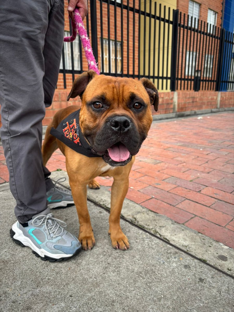 moleculis tweet media