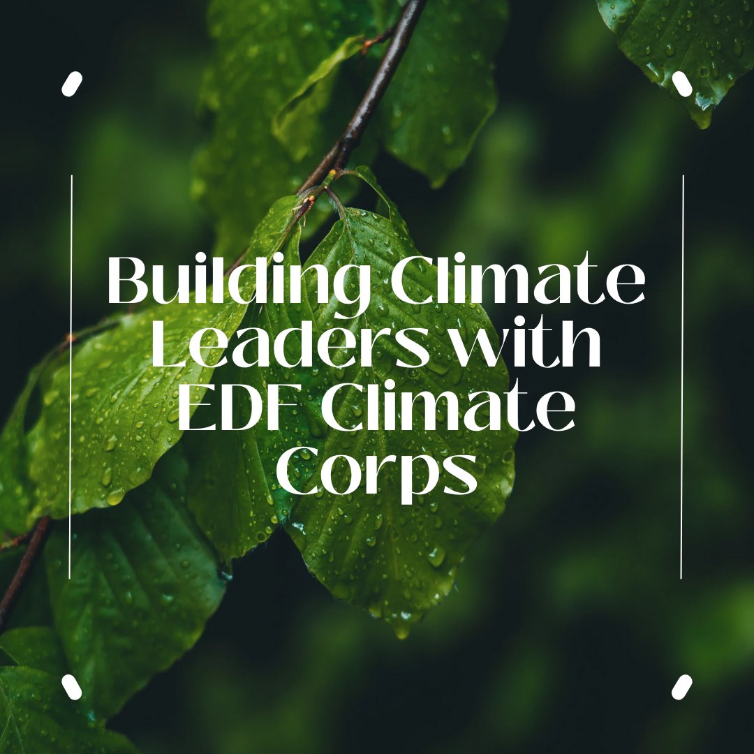 opportunitiesfy's tweet photo. ๐ EDF Climate Corps is training the next generation of sustainability leaders to advance climate goals!
๐Apply to be a fellow or host!
๐Join us in shaping a sustainable future!
๐Learn more: https://t.co/6aiLcGvpGe
#ClimateCorps #Sustainability #ClimateAction https://t.co/39kTGxVL5G