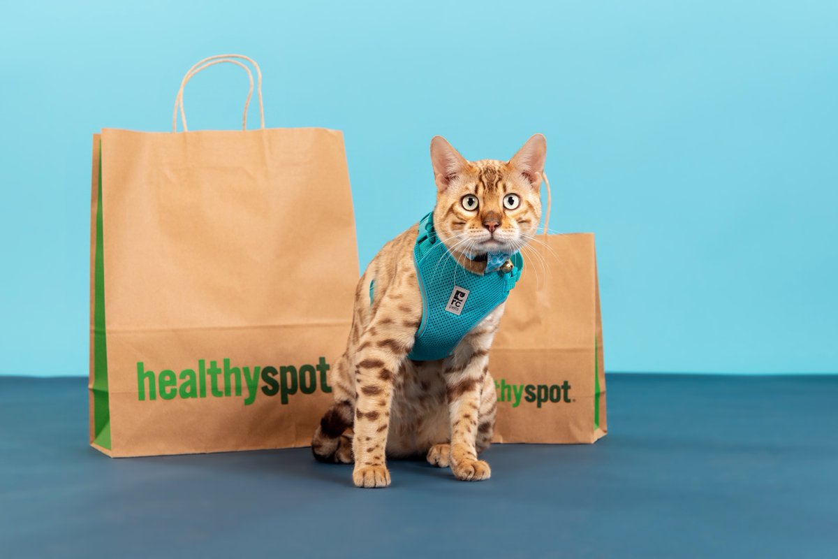 HAPPY NATIONAL CAT DAY! They scream at us to be fed &amp; behave as though they run the world but there's no denying the deep love we have for our feline fur-iends. Surprise them with a tasty treat or fun toy today to make the most of the holiday.
bit.ly/3Hg49ti