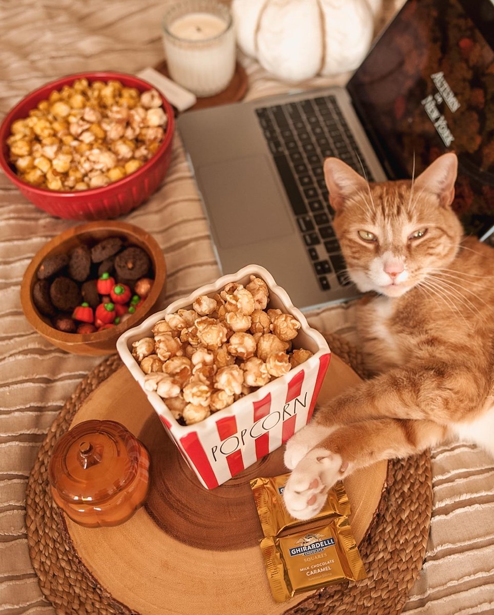 PopcornFactory's tweet image. Celebrating our feline friends today 🐈🧡 Happy #NationalCatDay!