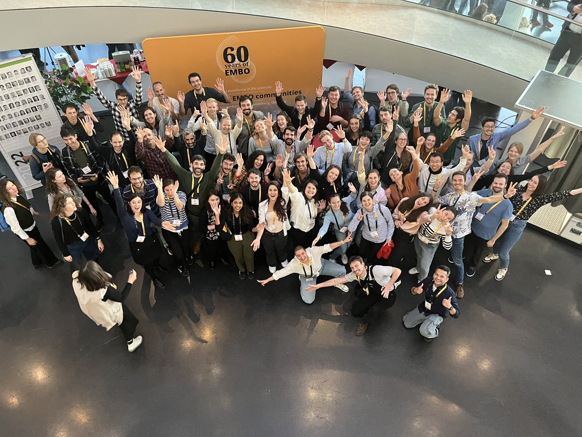 Juan Facundo Morici tweet media