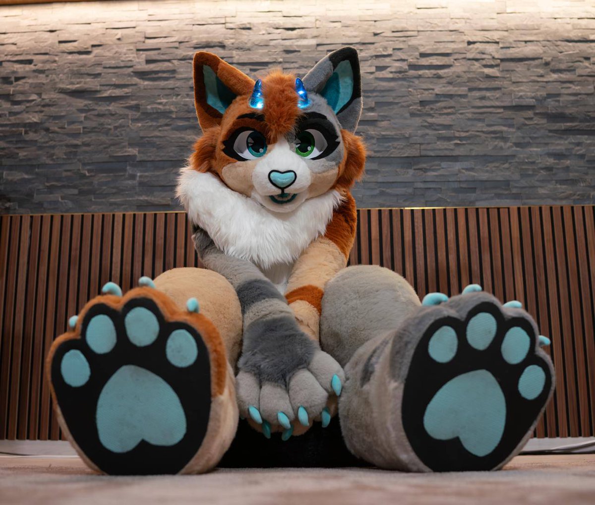 Draxis / ドラクシス tweet media