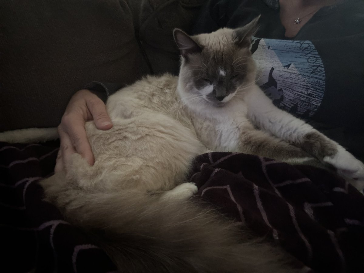 How my first day off on a 2 week “do whatever I want” vacation is going. 🥰