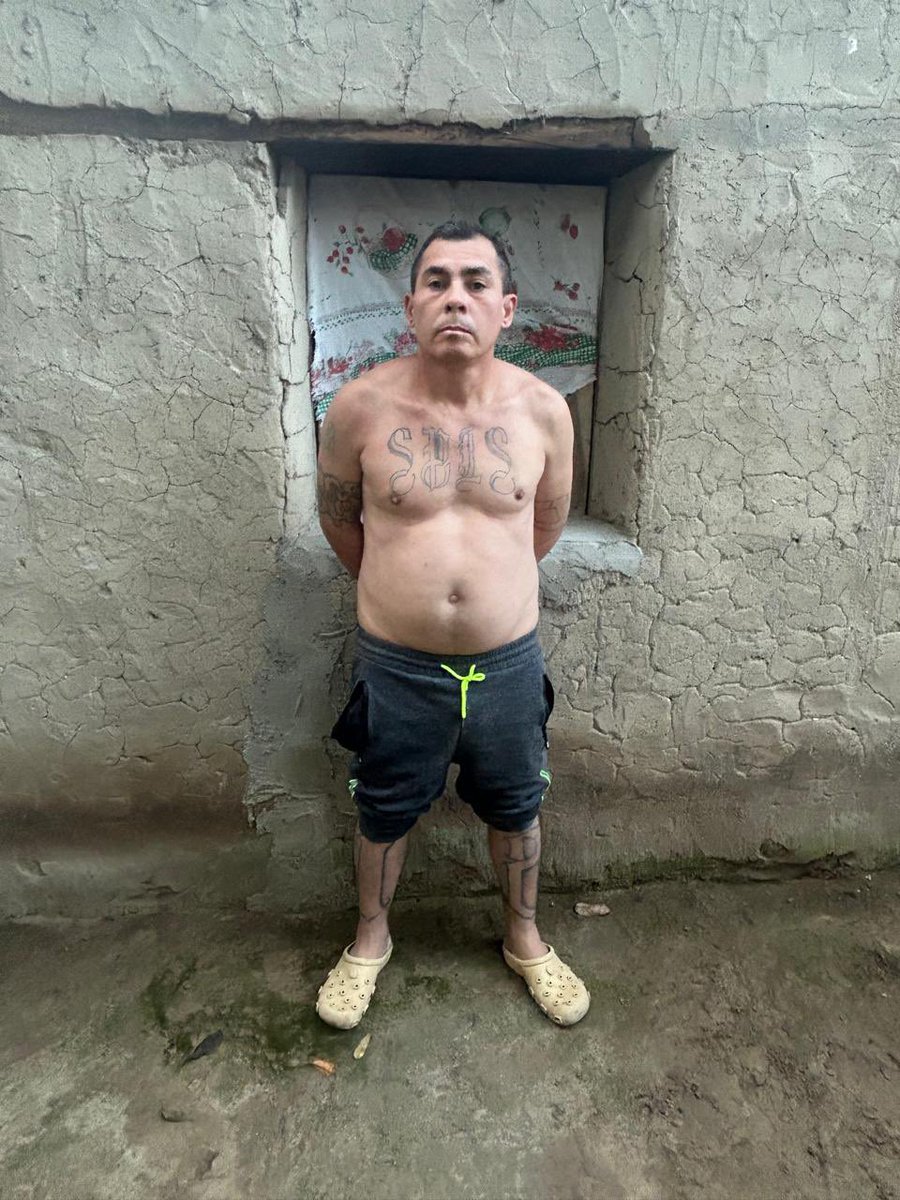 Vi11atoro's tweet photo. Gracias a la intervención de nuestra @PNCSV, capturamos a Federico Giovanni Peña Domínguez, alias “Sayper,” homeboy de la pandilla 18, quien intentó esconderse en una cueva ubicada en una zona rural de Tenancingo, Cuscatlán. Ahora, enfrentará proceso por el delito de agrupaciones ilícitas.

El Estado de Derecho que hemos recuperado es histórico y asesinos seriales como este no volverán a las calles ni colonias de nuestro querido país, el único camino que tienen es la cárcel. 

Donde sea que se escondan de nuestra #GuerraContraPandillas, los encontraremos y haremos que rindan cuentas ante la ley.