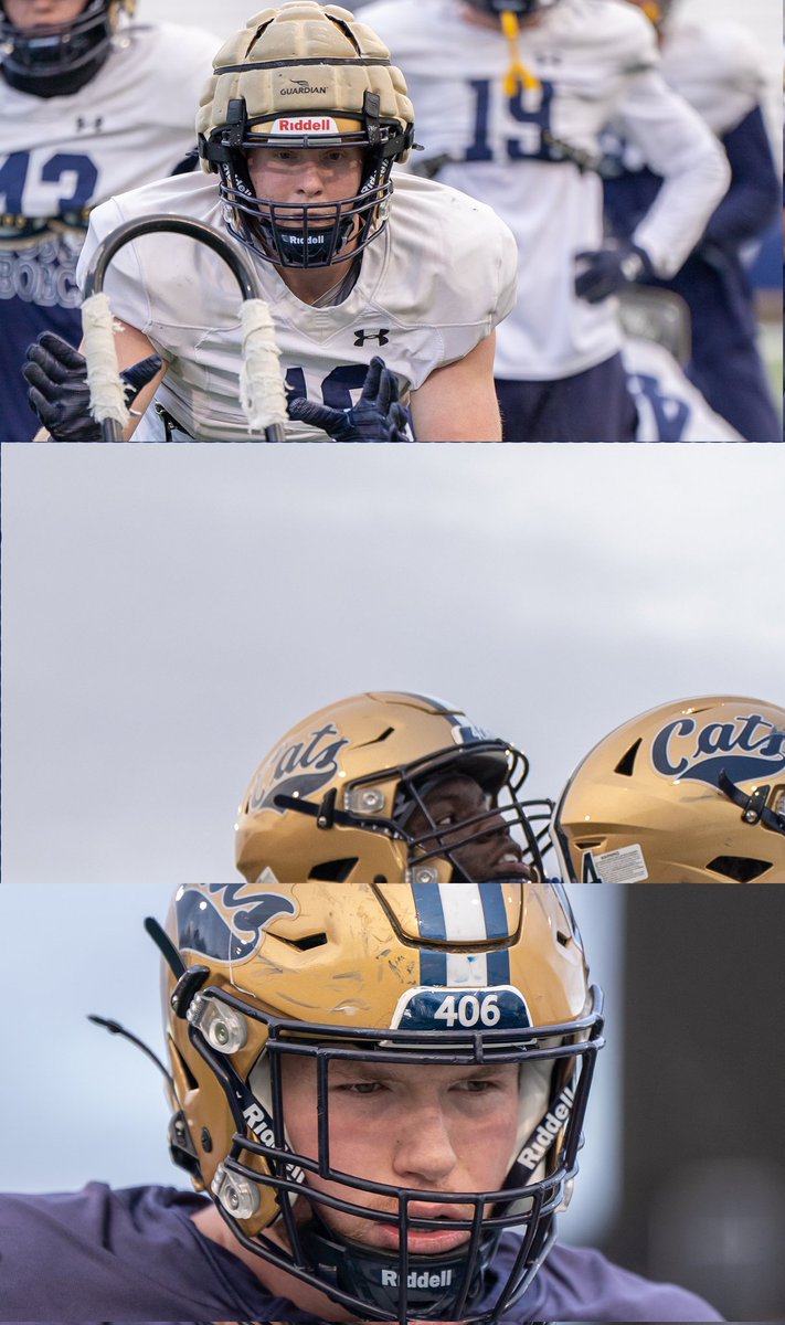 Montana State Football tweet media