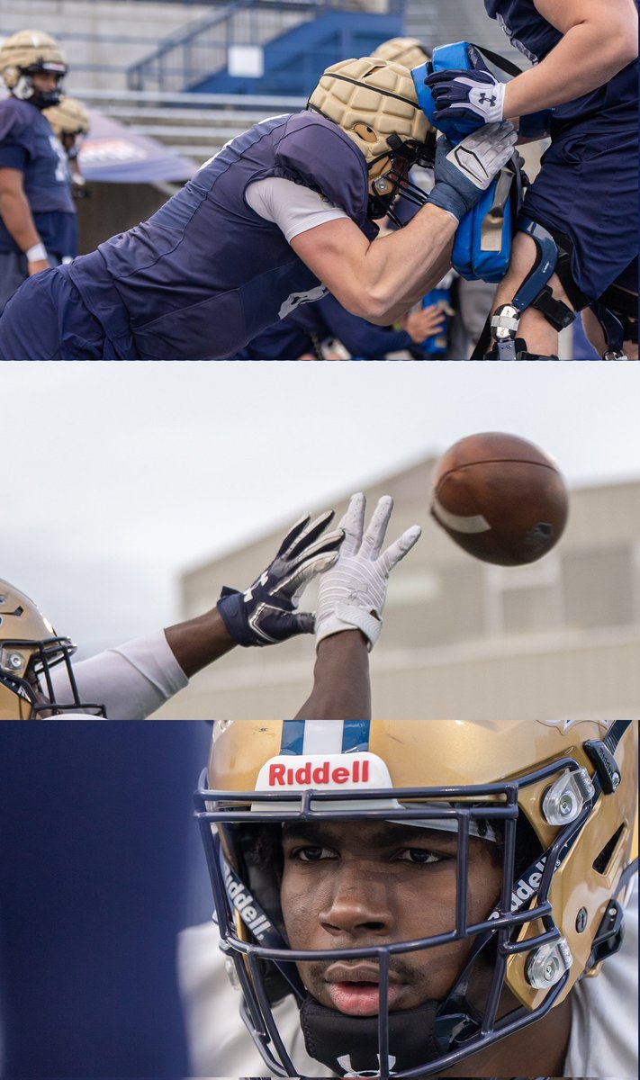 Montana State Football tweet media