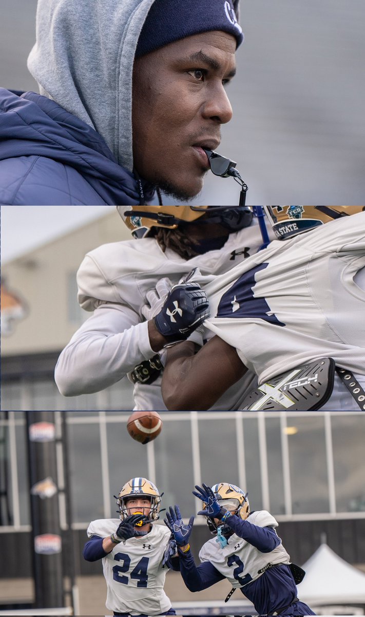 Montana State Football tweet media