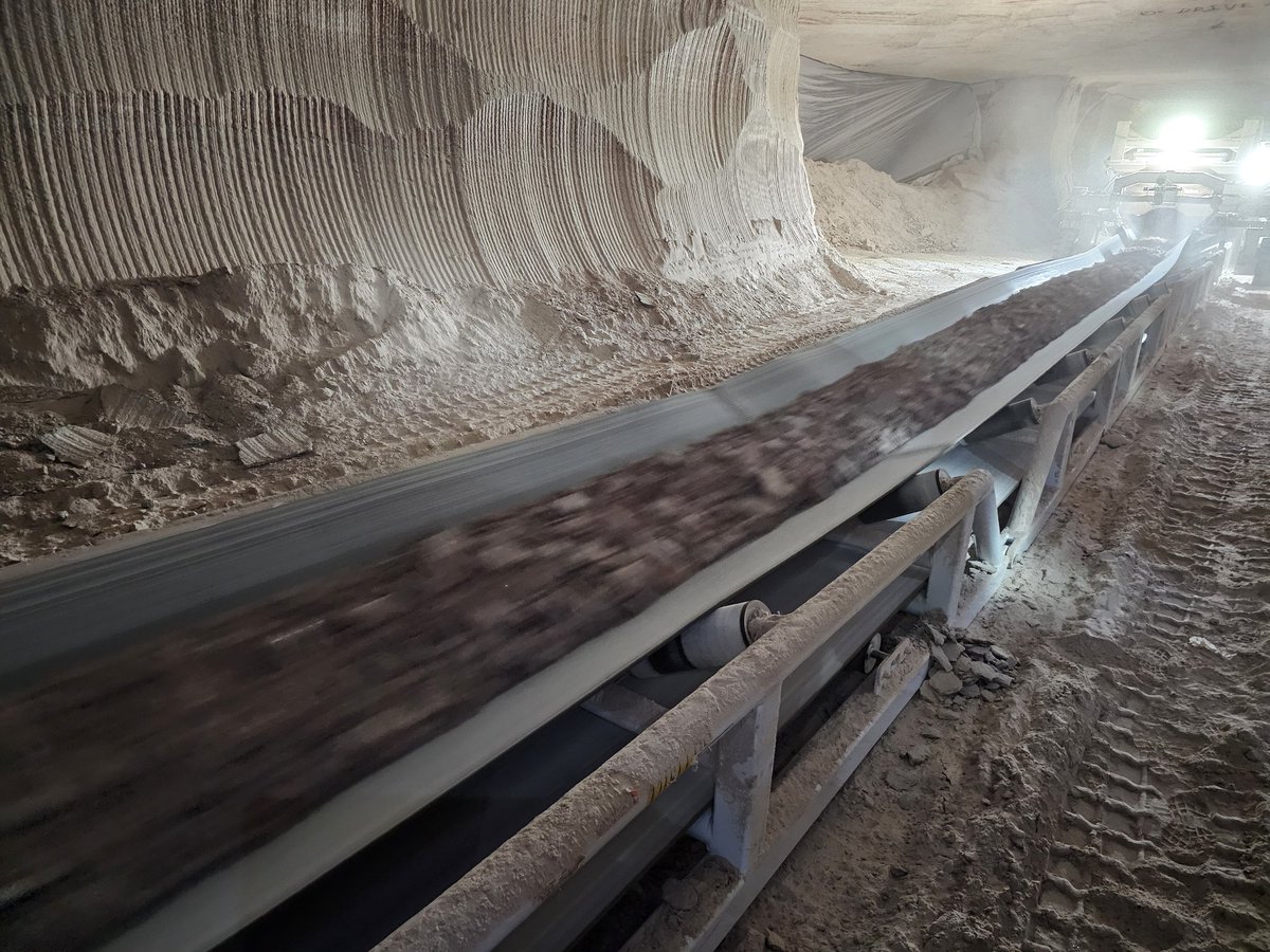 Shaun Haney tweet media