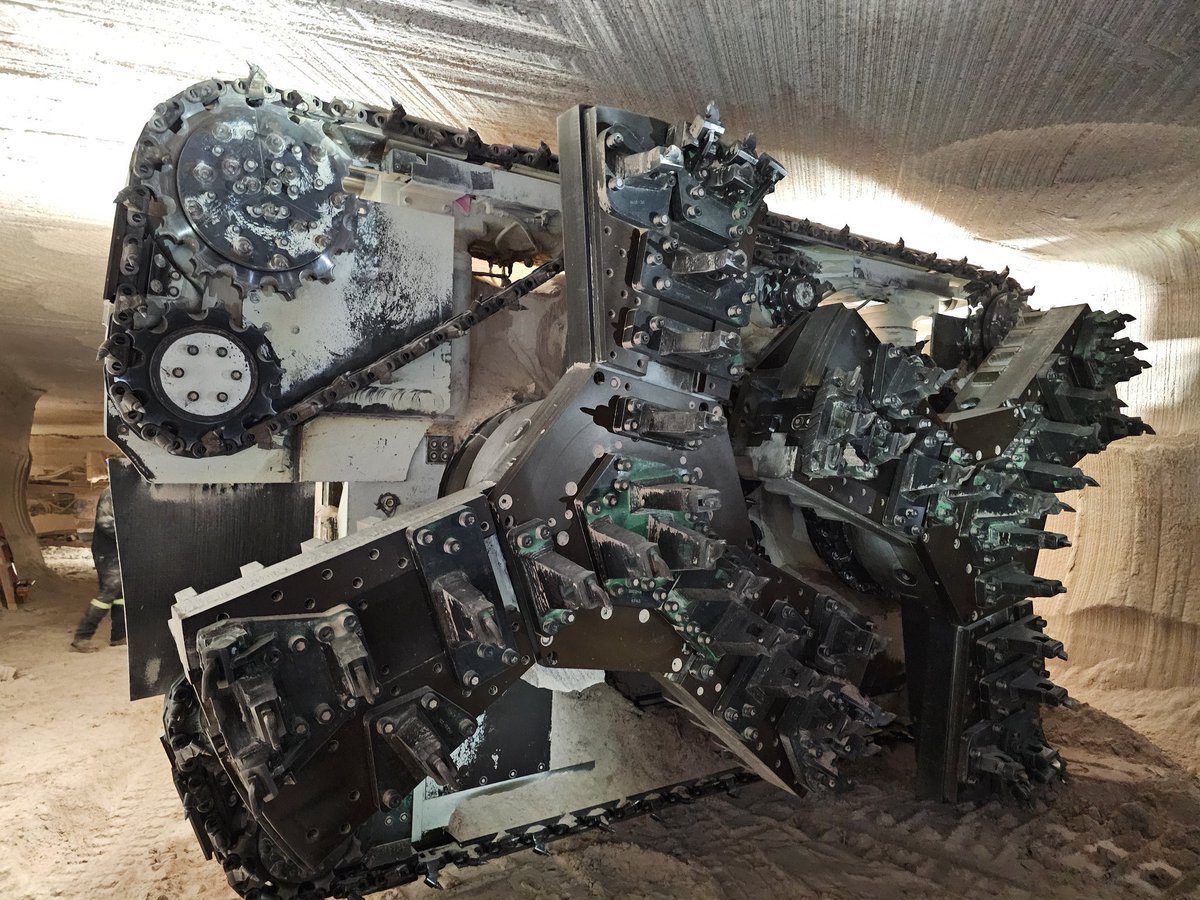 Shaun Haney tweet media