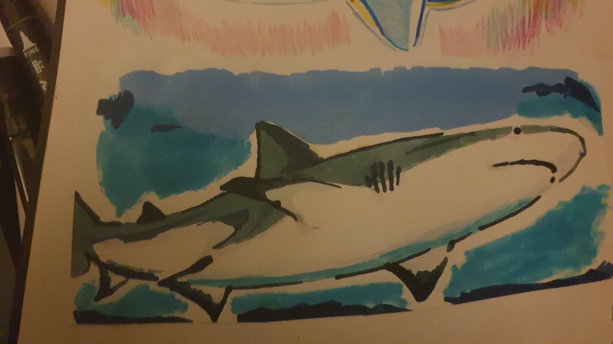 ✦ VALKYRIE tweet media