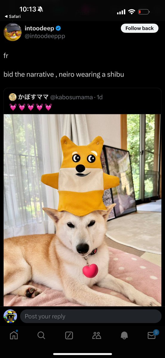 $shibu is associated with the $doge and $neiro family

It’s its own original IP 

Endorsed by the artist <a href="/Fantoumi/">Fantoumi</a> 

And is on the solana blockchain

Ya moon that

yG6bXPEFaUnGAEHHqH9H7t1VSfaK7YrggCqHy35pump