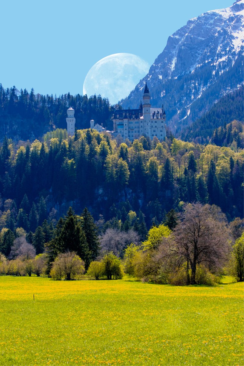 Squid (@squidypromos) on Twitter photo  Squid (@squidypromos) on Twitter photo