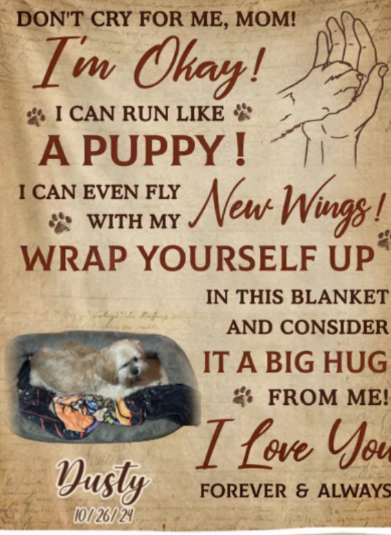 Missing my sweet boy today. 
Dusty 04/01/10 - 10/26/24. I love him so much and I know he loved me too. Rest in peace, my constant companion for the last 14 and 1/2 years. #apersonsbestfriend #ifeelsoguilty