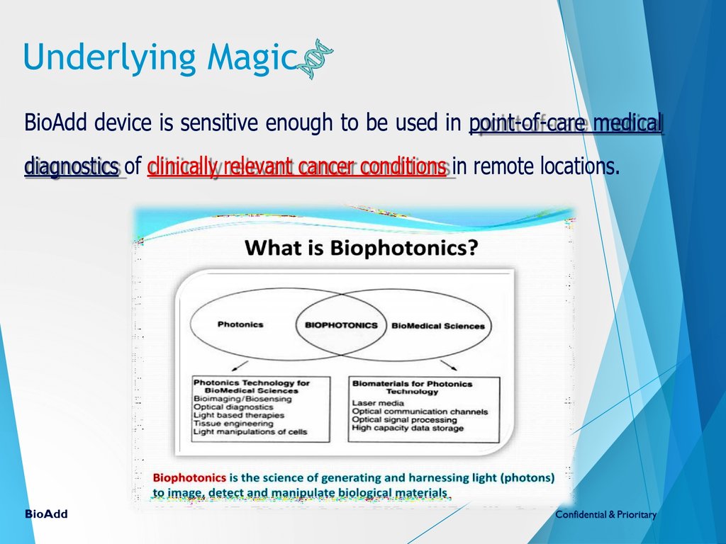 stevenratltner's tweet image. #BiophotonicsLab health tech solutions. Work in progress 🧠✨🔬

#LightPowered
#science
#Biophotonics
#BrainHealth