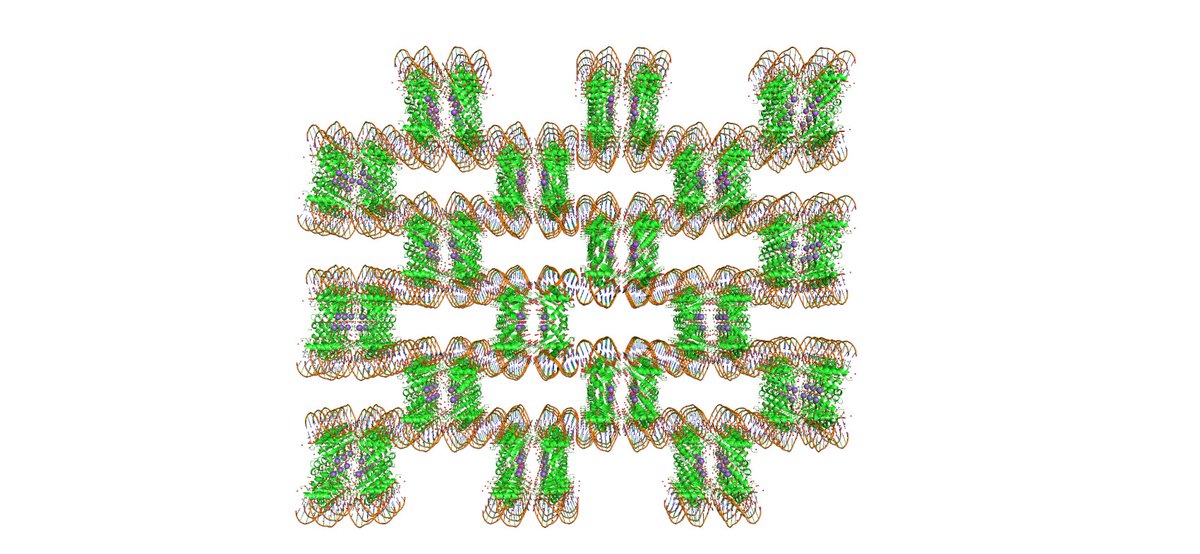 DrHorrell's tweet photo. Can't imagine why crystallising this without DNA has been so difficult. https://t.co/ojldS5cQo9