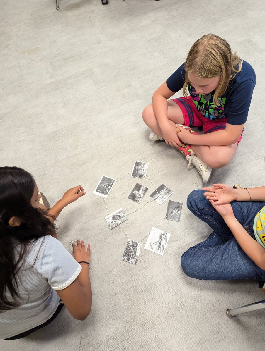 Food web building! I love the conversation that was had about how one organism impacts an ecosystem! #teambce <a href="/BearCreekElem/">Bear Creek</a> Thanks for the great activity <a href="/McGrawHillK12/">McGraw Hill PreK-12</a>