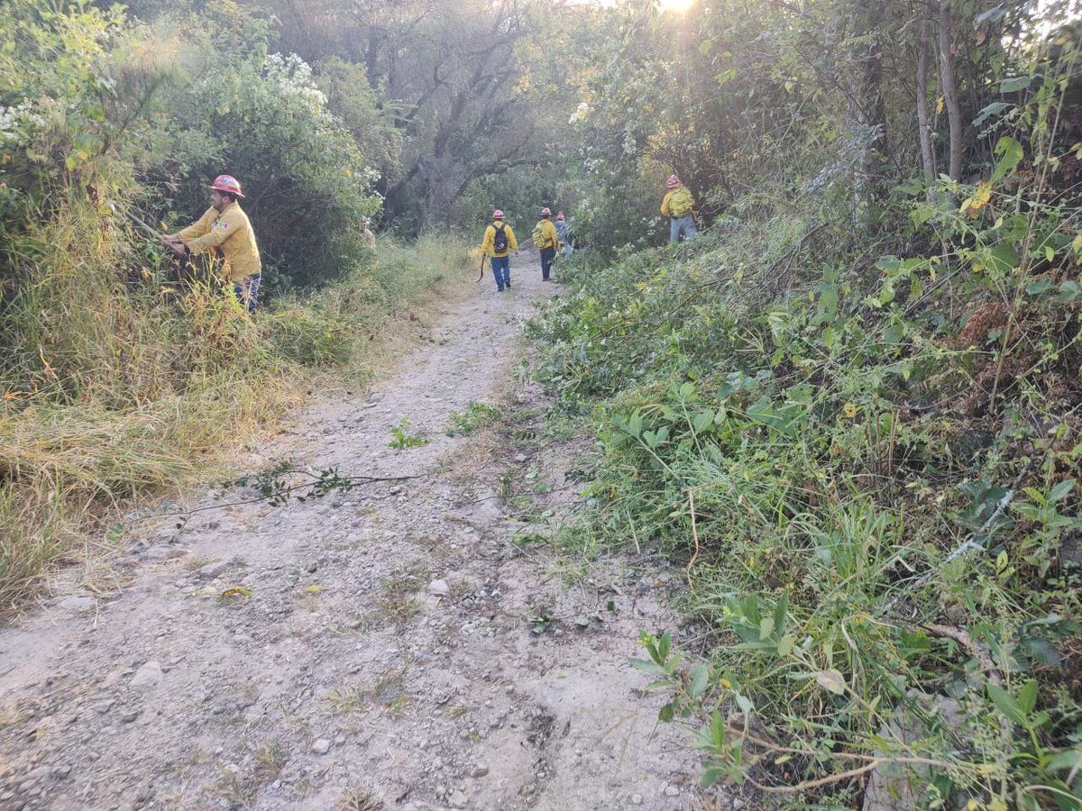 SEMADET Jalisco tweet media