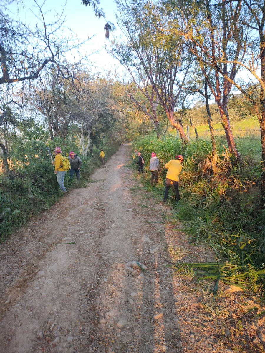 SEMADET Jalisco tweet media