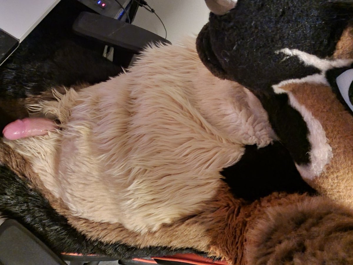 UnzippedShep 🔜 NFC tweet media