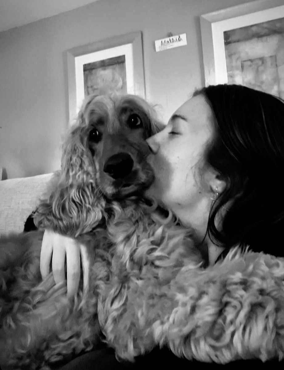 GeorgiaKelx's tweet photo. Said goodbye to my beautiful pup today. heartbroken is an understatement. he was there through everything, sat with me after every seizure, cuddled with me through all the tears. the goodest boy there ever was. i love you Raz💛 https://t.co/XWsbg2Yz9c