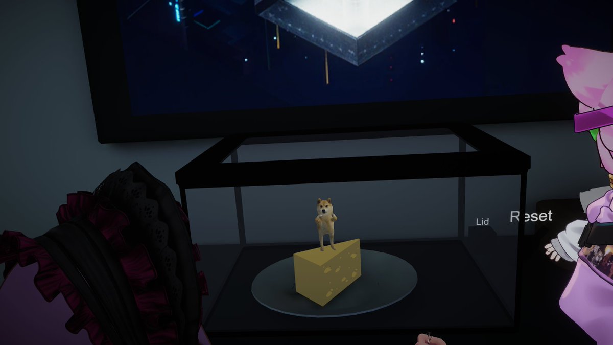 wannu0828's tweet photo. ワン #doge3D https://t.co/2CyEGiyl9t