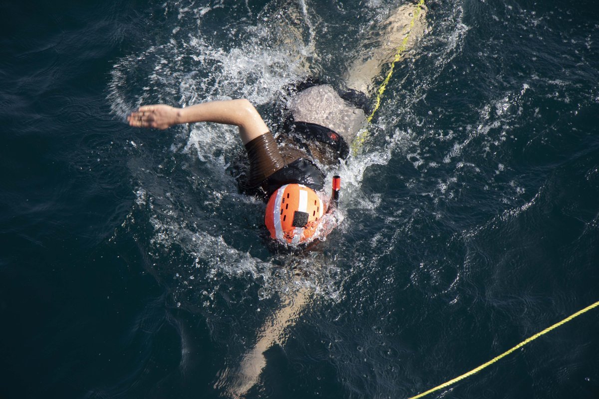 SurfaceWarriors's tweet photo. ๐จ Surface Warriors of the USS Frank E. Petersen Jr. Practice Lifesaving Drills ๐ค #sailorlife #NavyCapability https://t.co/Sg9G3O6a2N