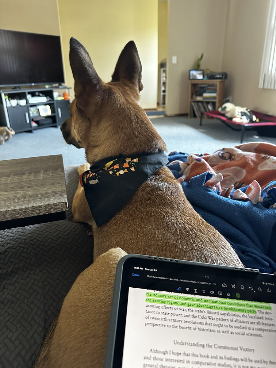 EnviroNat tweet media