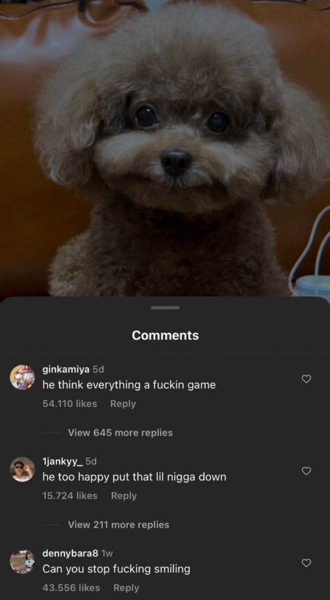 Xizen22's tweet photo. @kirawontmiss Instagram comments are so wild, they be beefing a dog too😭😭 https://t.co/HtZfUeaLU6