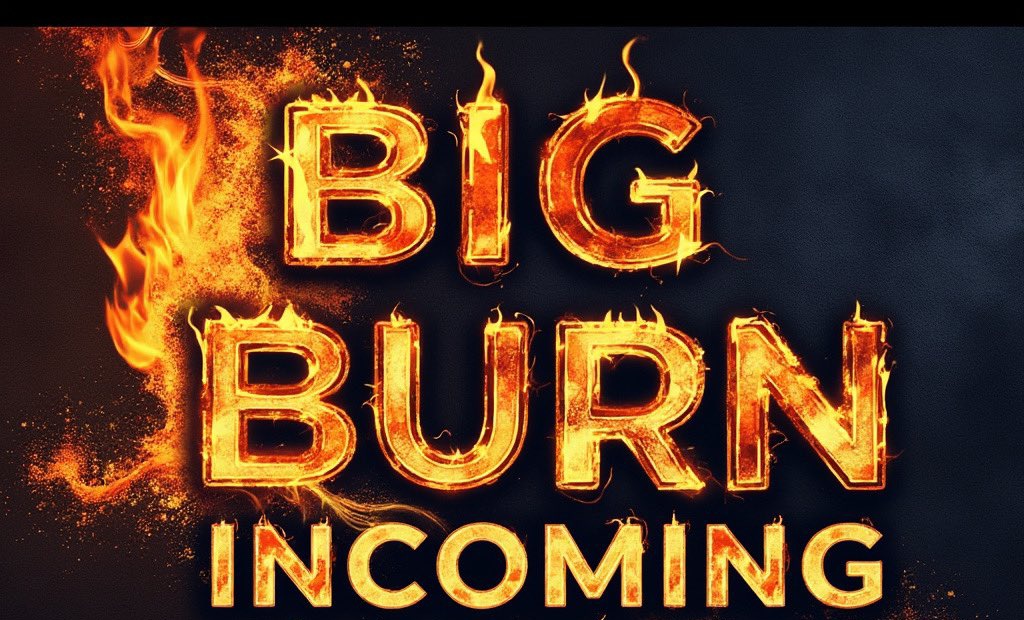 Babydogehub's tweet photo. More #BABYDOGE BURN = $1 SOON! 🔥 https://t.co/t4EEZbqivf