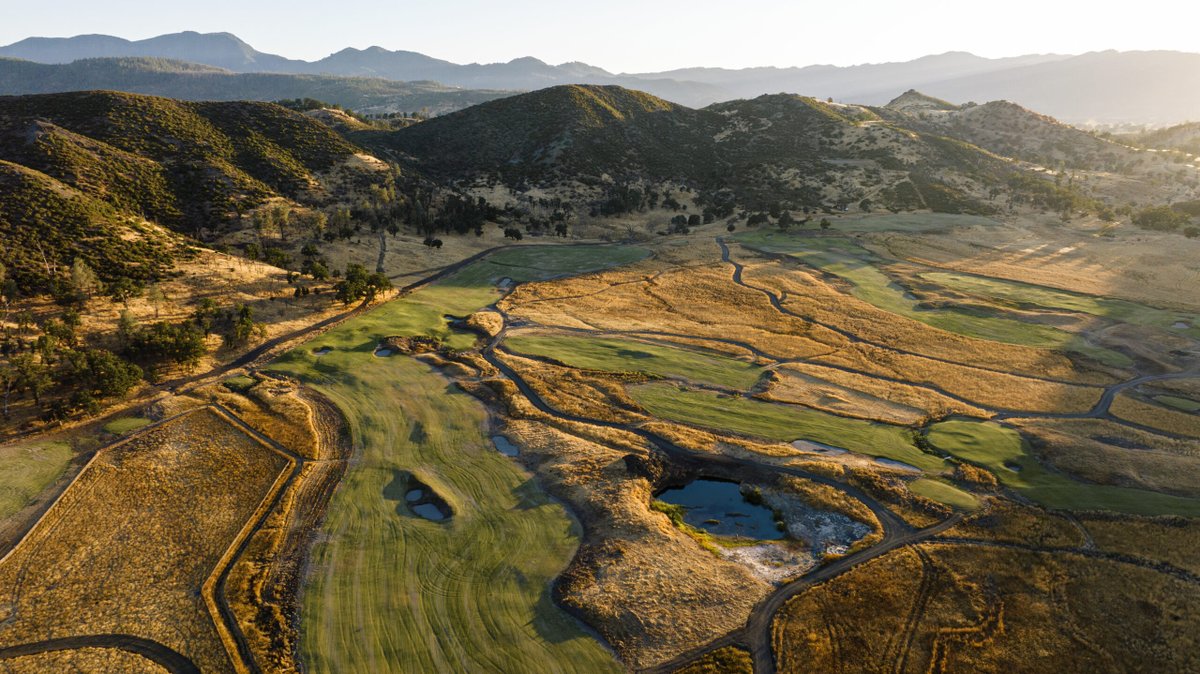 swingwalkrepeat's tweet image. All Grass Is Local: Brambles dlvr.it/TFrrZ2 via @the_fried_egg