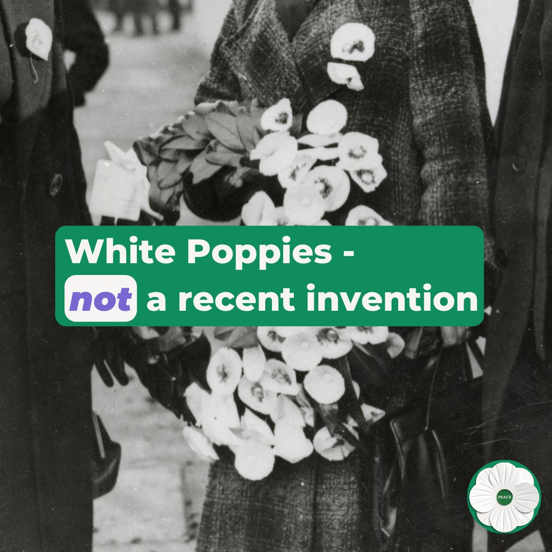 PPUtoday's tweet image. First produced in 1933 by the Co Operative Women’s Guild, and now distributed by the Peace Pledge Union, White Poppies are worn by thousands of people every year in the UK and abroad.
Get your White Poppy in time for Remembrance ⬇️🕊️
ppu.org.uk