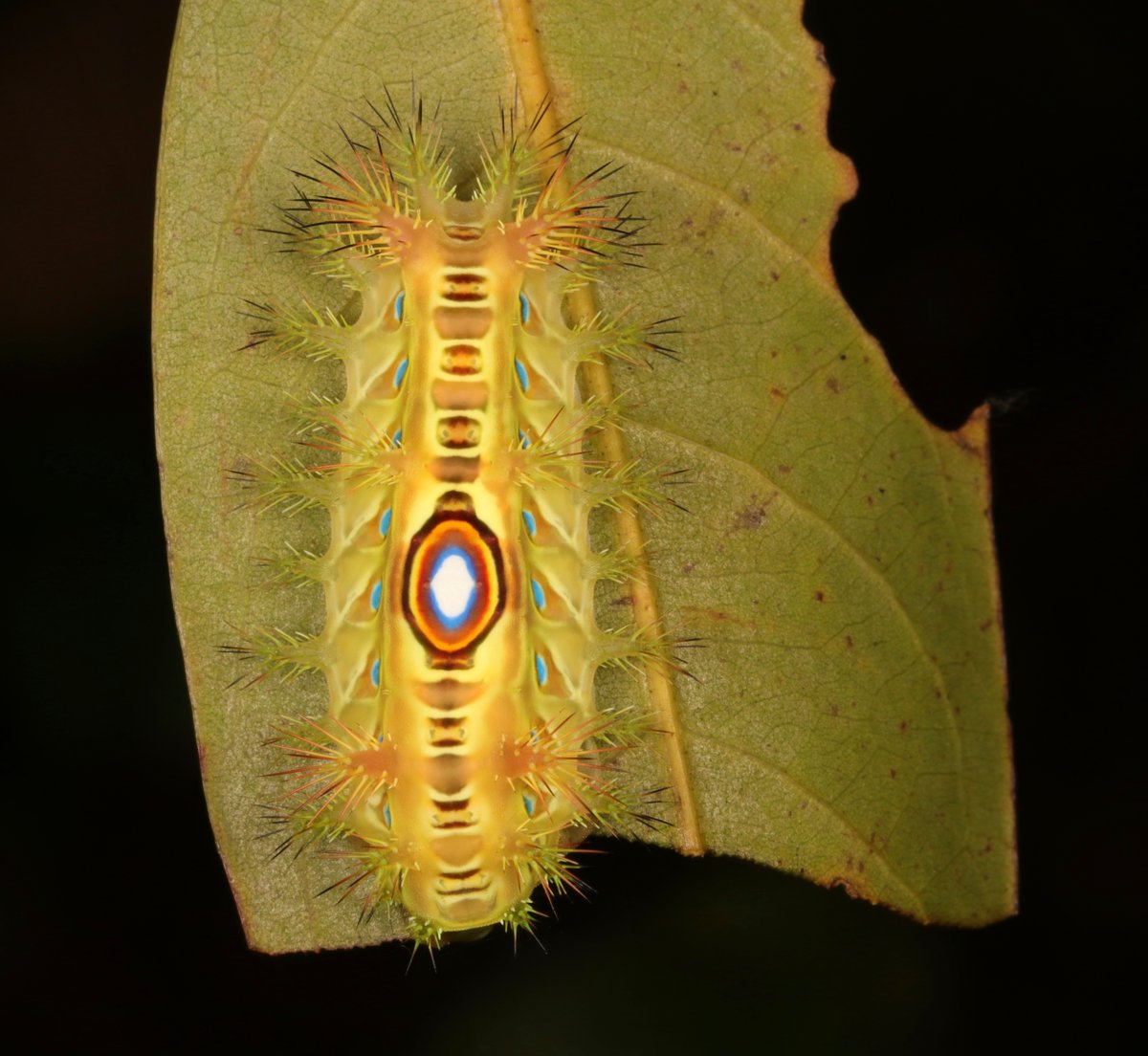 John Horstman tweet media