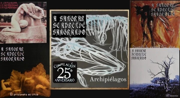 A sangrar se aprende sangrando tweet media