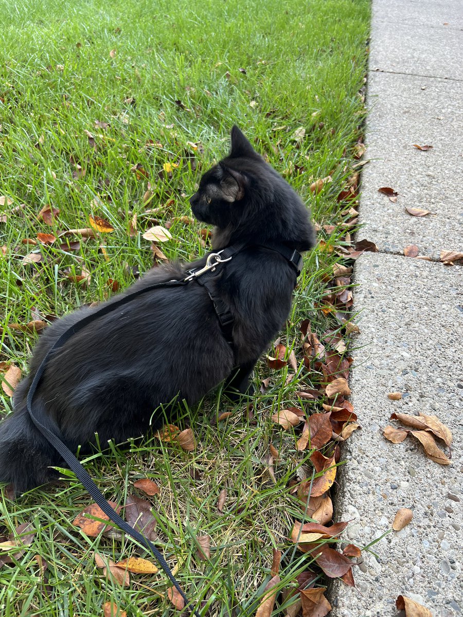 Sean Scott tweet media