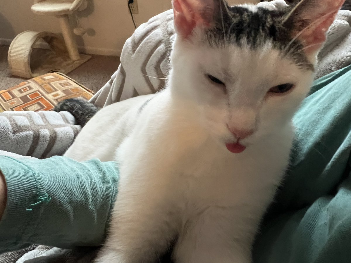 Sean Scott tweet media