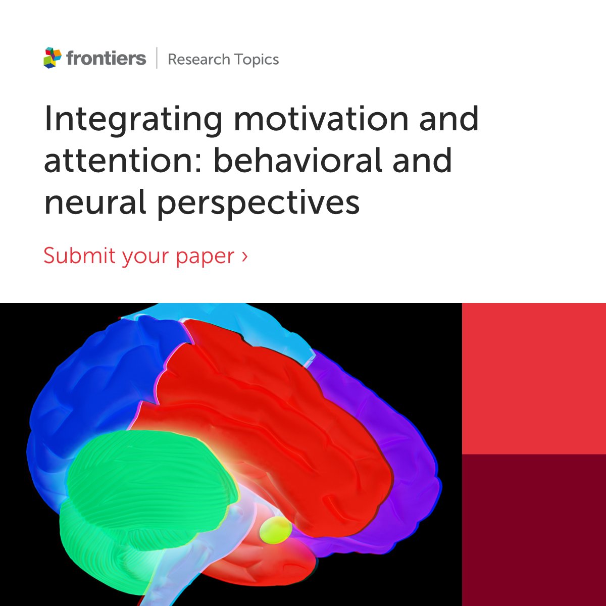 FrontNeurosci's tweet photo. ⏰Integrating motivation and attention: behavioral and neural perspectives⏰

Do not miss the chance to participate in this interesting collection addressing the the influence of motivation on attention!

Check our collection 👀https://t.co/hD96sNnBug 
Interested in contributing? https://t.co/Mk7BaPDt1O

#Neuroscience #attention #motivation