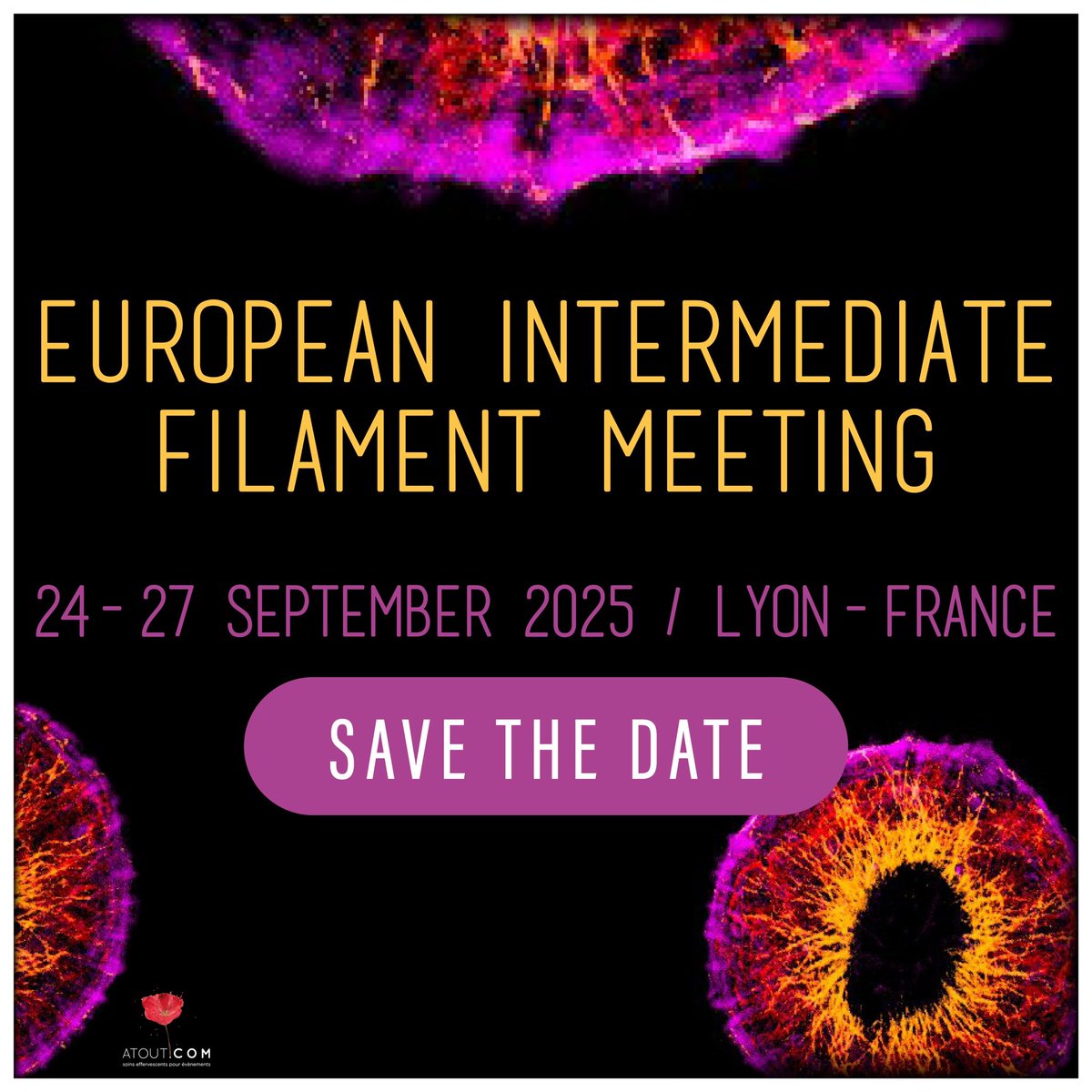 Bomont Pascale (@pascalebomont) on Twitter photo 👇SAVE the date 👇As the chair of the upcoming European meeting on Intermediate Filaments, I am happy to announce its launching. RT & more details to come. Thx organizing team with <a href="/BonneGisele/">Gisele Bonne</a> <a href="/etiennemannevil/">Etienne-Manneville Lab</a> A.Bertrand O.Agbulut #cytoskeleton <a href="/ConnectingIFs/">Connecting Intermediate Filaments Seminars</a> 👇SAVE the date 👇As the chair of the upcoming European meeting on Intermediate Filaments, I am happy to announce its launching. RT & more details to come. Thx organizing team with <a href="/BonneGisele/">Gisele Bonne</a> <a href="/etiennemannevil/">Etienne-Manneville Lab</a> A.Bertrand O.Agbulut #cytoskeleton <a href="/ConnectingIFs/">Connecting Intermediate Filaments Seminars</a>