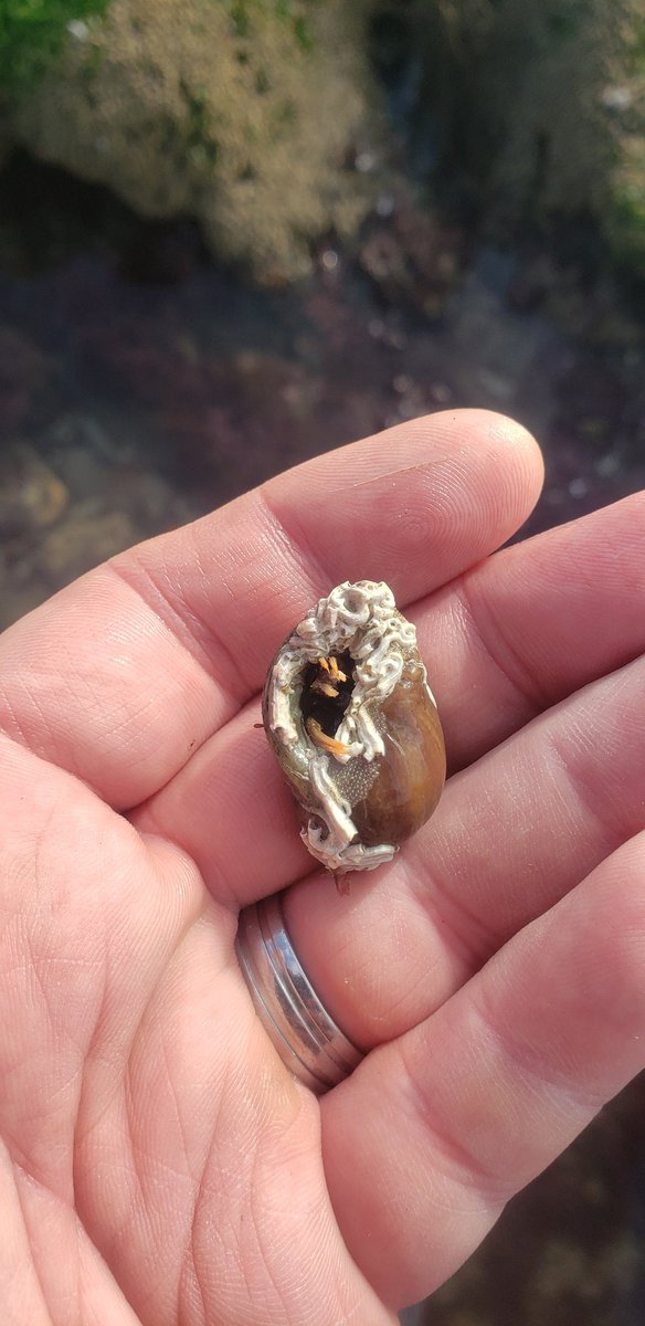 Stephen Hutton tweet media