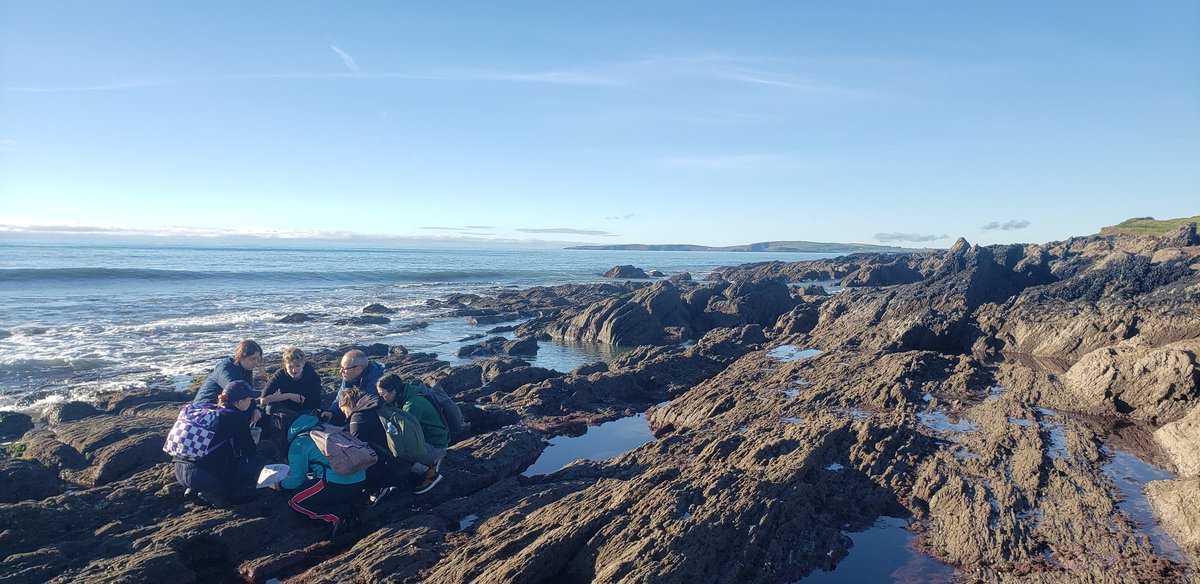 Stephen Hutton tweet media