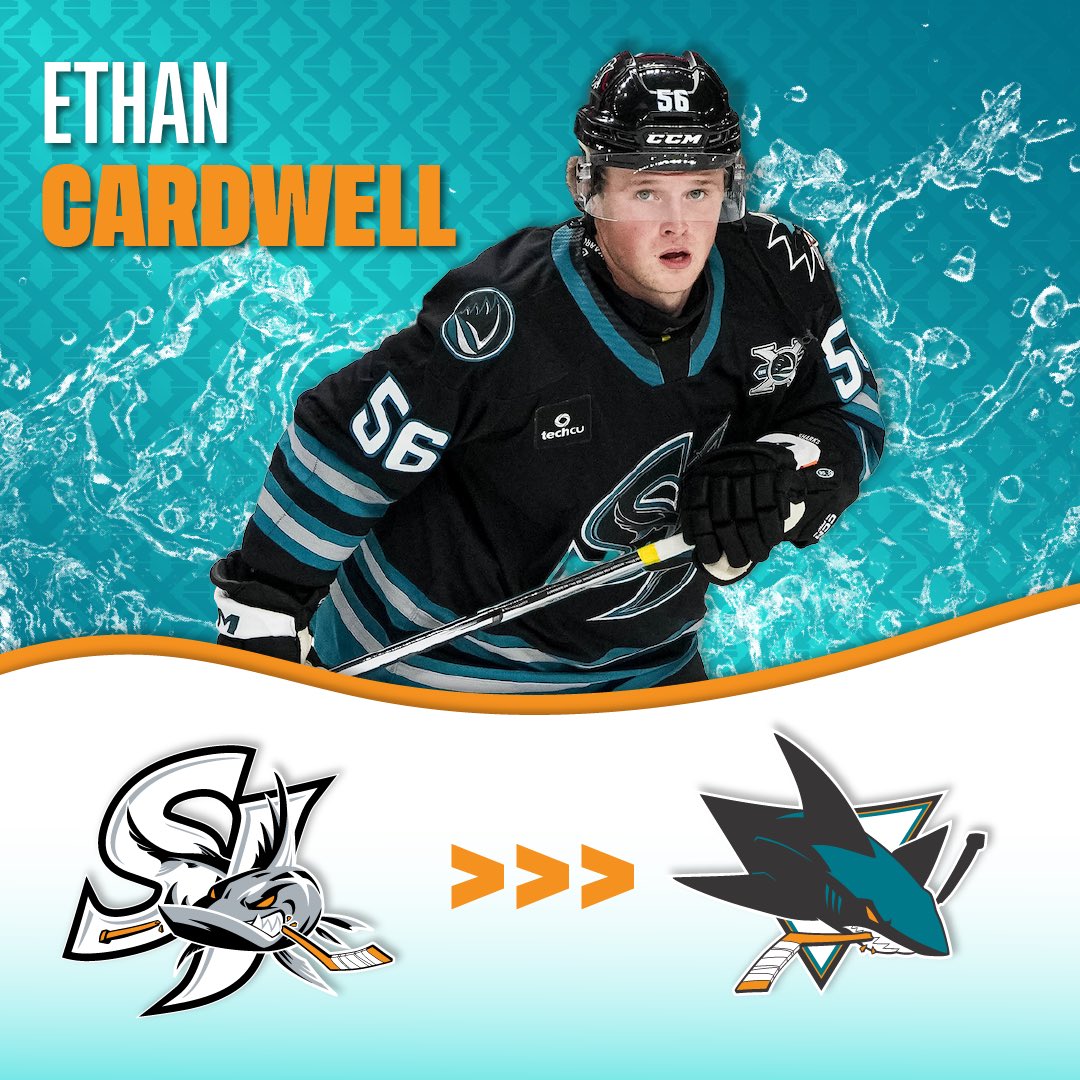 sjbarracuda's tweet photo. The @SanJoseSharks have recalled F Ethan Cardwell from the #SJBarracuda https://t.co/HLY5LGqWFX