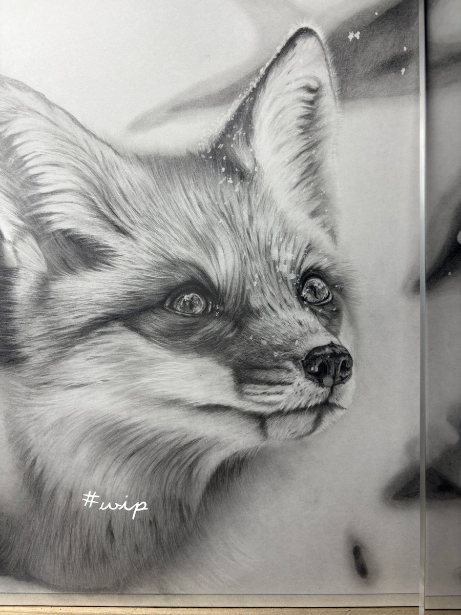 shinArtpen's tweet image. 眠い(*ｐω-)｡O゜お疲れ様でした...🫠
#wip
#pencildrawing 
#redfox