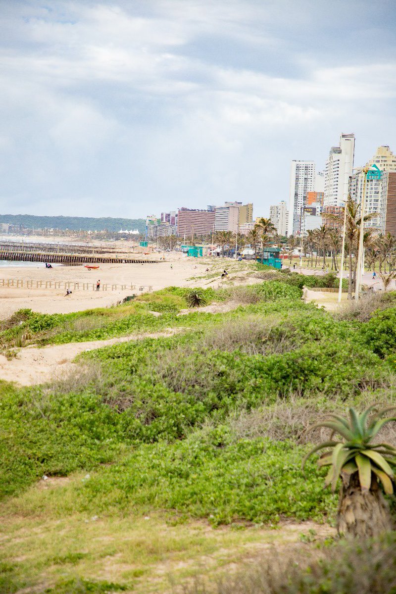 WildlandsSA tweet media