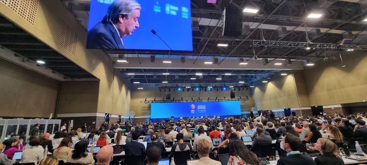Bethan_Laughlin (@bethan_laughlin) on Twitter photo "Those profiting from nature cannot use it as a free infinite resource, they must step up.”
<a href="/antonioguterres/">António Guterres</a>
at #COP16Colombia demands action on Digital Sequence Information (DSI). It's time for an agreement at COP16 that ensures profits from nature contribute to its restoration "Those profiting from nature cannot use it as a free infinite resource, they must step up.”
<a href="/antonioguterres/">António Guterres</a>
at #COP16Colombia demands action on Digital Sequence Information (DSI). It's time for an agreement at COP16 that ensures profits from nature contribute to its restoration