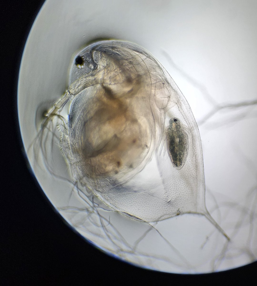 UTC Oxfordshire tweet media