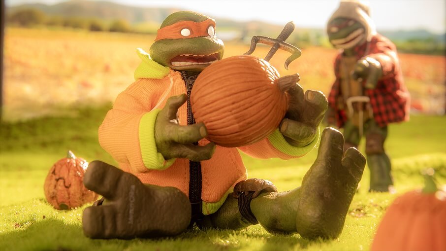 mezcotoyz's tweet photo. Shell-ebrating fall with the perfect pumpkin! 🐢🎃 #TurtleTuesday 

📸: crookedninjaturtle (IG) https://t.co/CIPw22PyG8