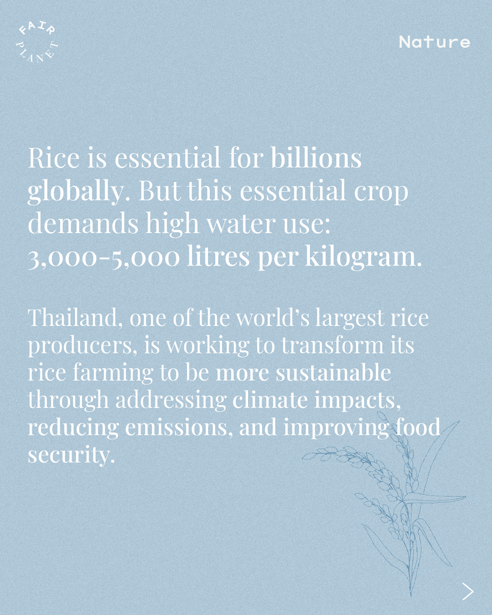 FairPlanet tweet media